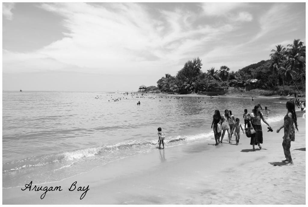 East Surf Cabana Arugam Bay Dış mekan fotoğraf
